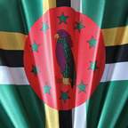 Close up of Dominica flag inspired bamboo folding hand fan.  Close up of the national emblem of the national bird, the Imperial Amazon Parrot
